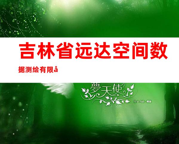 吉林省远达空间数据测绘有限公司